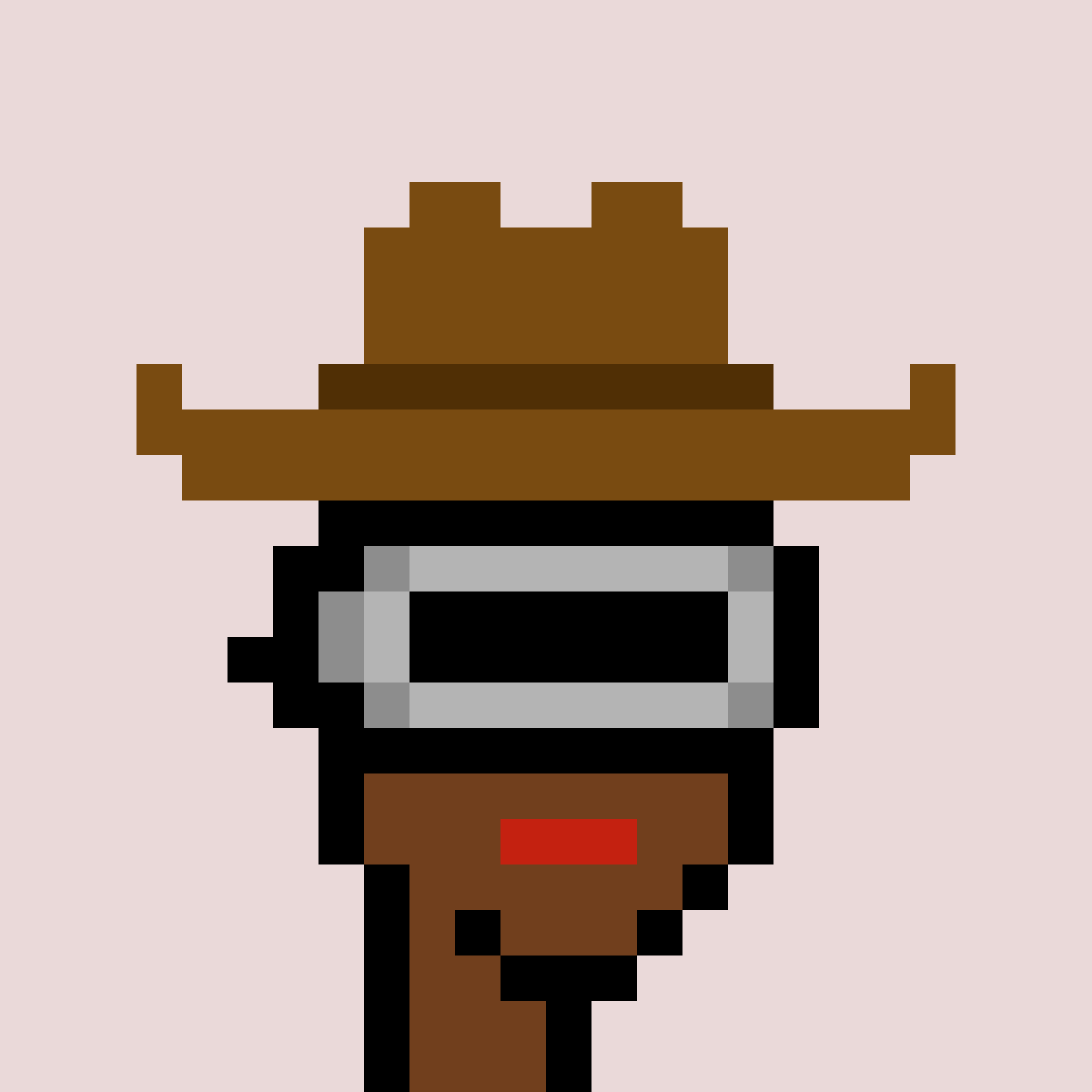 kiimhaa's tweet photo. @ZunkzNFTs @cryptopunks Yes! Cowgirl doesn't even exist in the cryptopunks collection #Zunked https://t.co/PXOy1ANoBW
