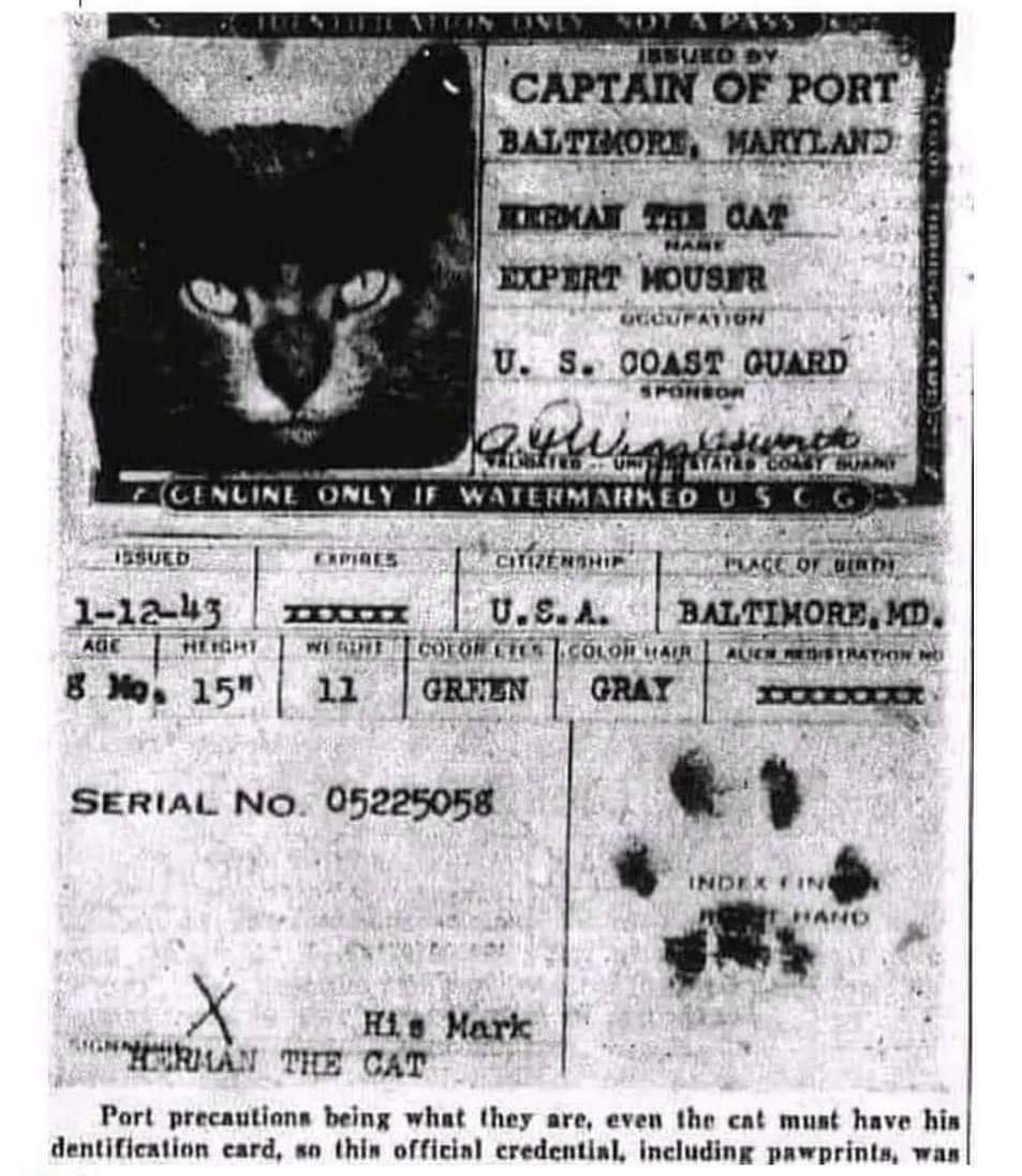 Cats that sailed on ships until the mid-20th century to catch rodents had passports signed with their paw prints.