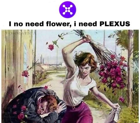 AlikaDesk's tweet photo. @plexus_fi I only want Plexus 😍😍

Amazing Project and also team. https://t.co/ucDi102OwJ
