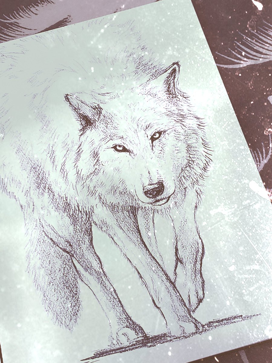 Raamiy_artworks's tweet photo. 過去画　wolf ver.
狼っていいよね🐺
#狼 #wolf #raamiy https://t.co/7ARRa6xjLZ
