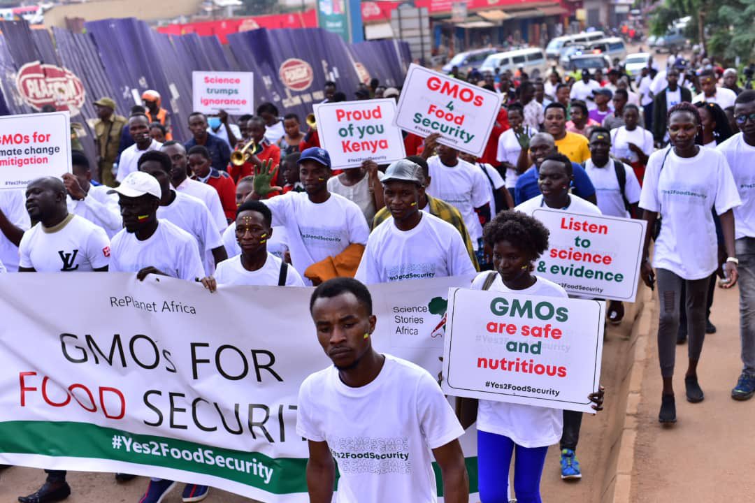 nickcarol1991's tweet photo. Supporting lifting of the ban on Genetically Modified Organisms (GMOs) in Kenya .Here in Uganda we joined our brothers and sisters in Kenya showing them solidarity that we are together with them. #Yes2FoodSecurity #Walk4GMOs #LetKenyansEat @cwmasiga @KagutaMuseveni @AnitahAmong https://t.co/Dvnu4iEYVz