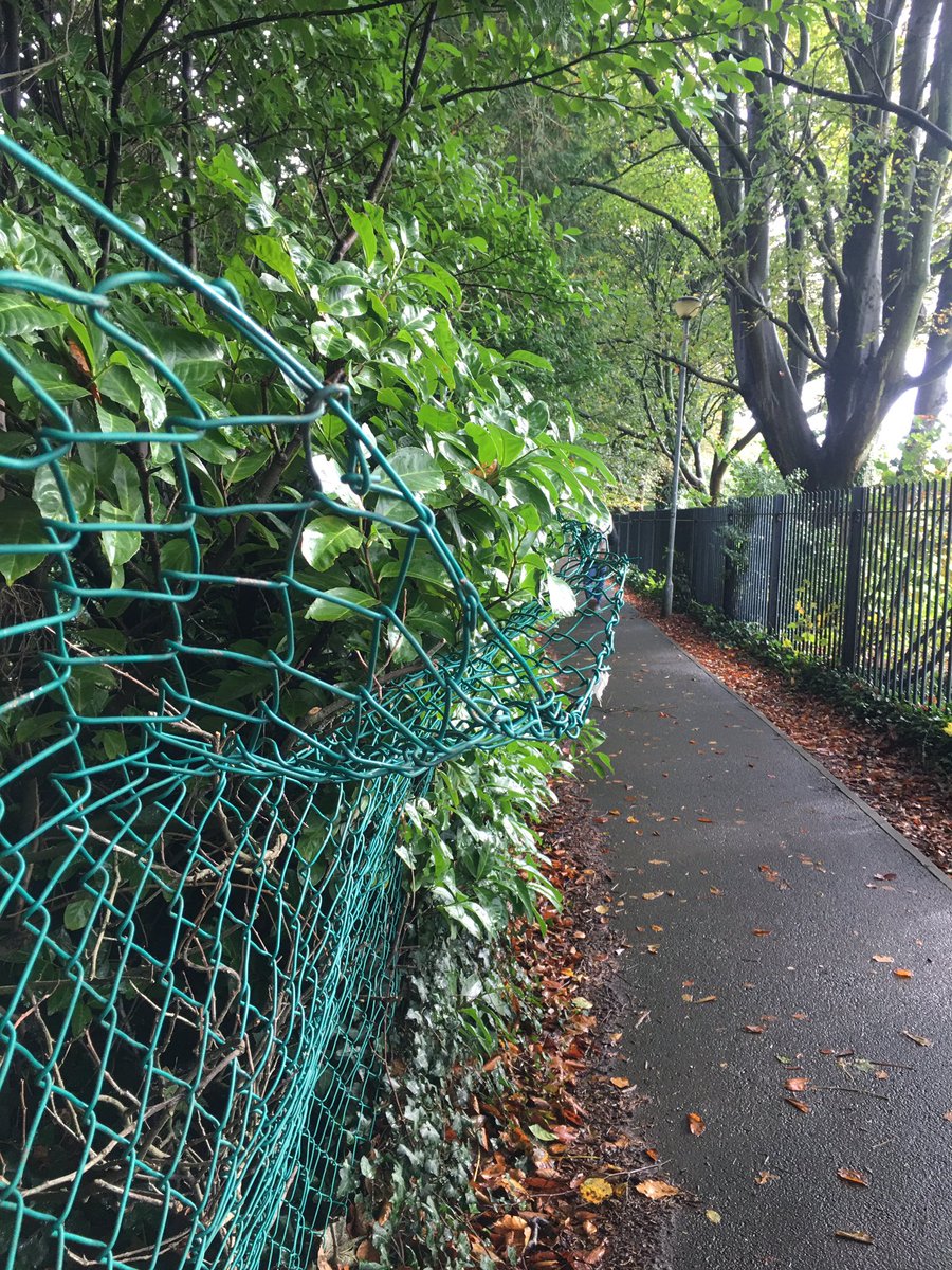 Sean4Llandaff's tweet photo. I am also mindful that the fence in the lane from @LlandaffCath close to @Llandaff_RFC is still in a state of dangerous disrepair. I’m told we’re awaiting a @cardiffcouncil bid for WG funding, but I’ll keep raising this with @DeAthCardiff @ktfoodpalmer https://t.co/A1txhV3Ixi