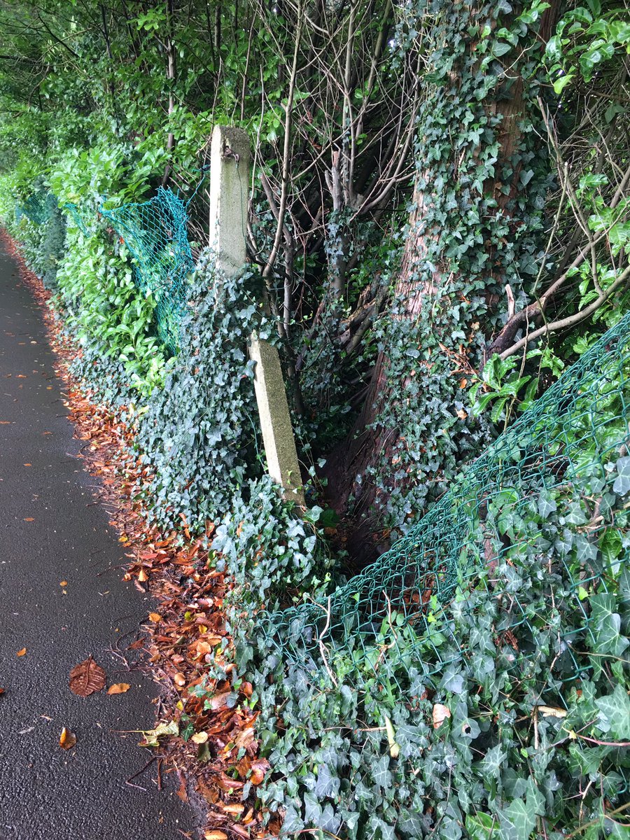 Sean4Llandaff's tweet photo. I am also mindful that the fence in the lane from @LlandaffCath close to @Llandaff_RFC is still in a state of dangerous disrepair. I’m told we’re awaiting a @cardiffcouncil bid for WG funding, but I’ll keep raising this with @DeAthCardiff @ktfoodpalmer https://t.co/A1txhV3Ixi