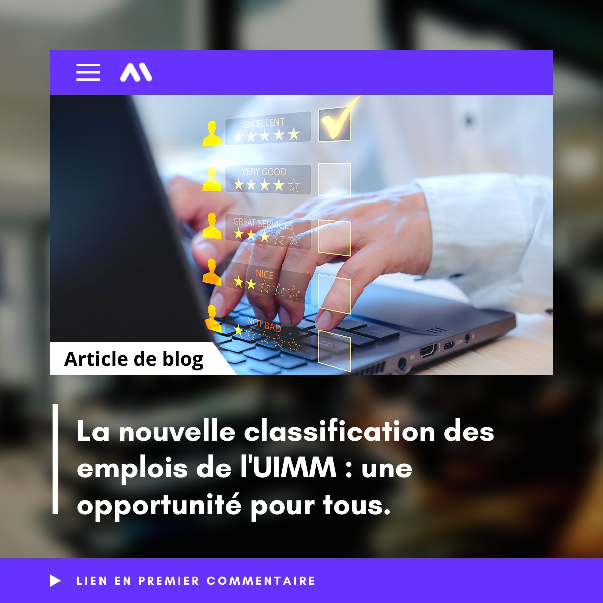 Mercateam tweet media