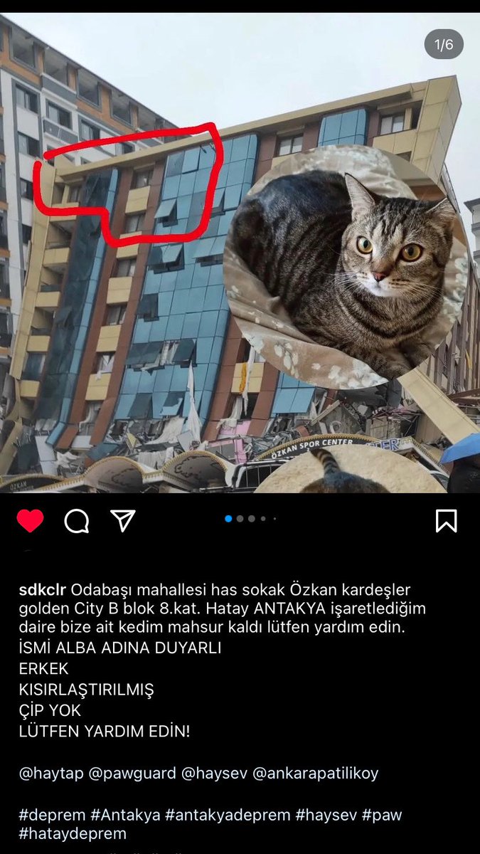 <a href="/HaytapOfficial/">Semtiemt</a> <a href="/haysevder/">HAYSEV</a>  Lütfen her yere ulaşmasını sağlayın🙏 #ahbab #depremhatay