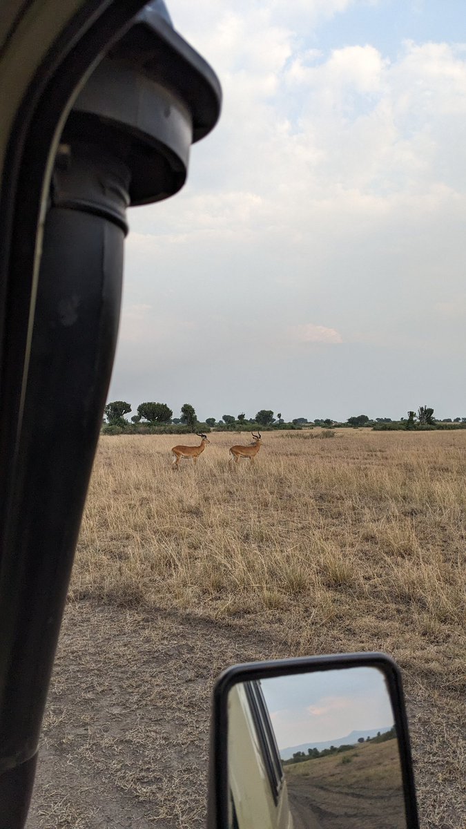ExploreWildlif4's tweet photo. #Safari 

The great moment at the equator in Queen Elizabeth National Park, Uganda trips
#Travel https://t.co/TSjQTGQFtQ