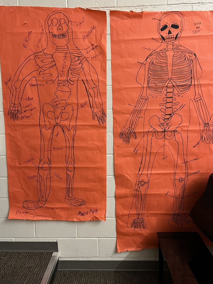 Ray Riley (@hhmrrileype) on Twitter photo As promised. Some finished products. <a href="/CBSDhpe/">Central Bucks Health & PE</a> <a href="/east_cb/">CB East High School</a> Students had fun. Got work with the content in a different way…and did a great job! As promised. Some finished products. <a href="/CBSDhpe/">Central Bucks Health & PE</a> <a href="/east_cb/">CB East High School</a> Students had fun. Got work with the content in a different way…and did a great job!