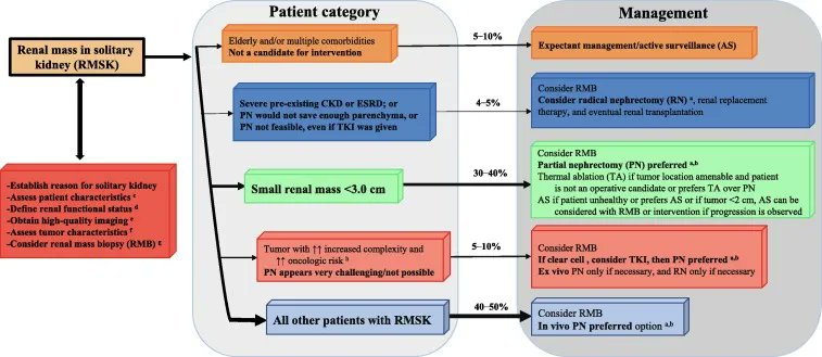 European Urology Oncology (@eururoloncol) on Twitter photo Current Issue: Comprehensive Management of Renal Masses in Solitary Kidneys
buff.ly/3Ia9sNN
<a href="/LWegp/">Yosuke YASUDA</a> @RathiNityam @LamontWilkinsMD <a href="/GustavoRoversi4/">Gustavo Roversi</a> <a href="/AoZhangUro/">Ao Zhang</a> <a href="/DAP_urology/">Diego Aguilar Palacios MD</a> <a href="/martin_hofmann_/">Martin Hofmann</a> <a href="/drjkaouk/">Dr. J. Kaouk</a> <a href="/rabouassalymd/">Robert Abouassaly,MD</a> <a href="/cjweight/">Chris Weight</a>
#kidney #UroOnco #MedTwitter Current Issue: Comprehensive Management of Renal Masses in Solitary Kidneys
buff.ly/3Ia9sNN
<a href="/LWegp/">Yosuke YASUDA</a> @RathiNityam @LamontWilkinsMD <a href="/GustavoRoversi4/">Gustavo Roversi</a> <a href="/AoZhangUro/">Ao Zhang</a> <a href="/DAP_urology/">Diego Aguilar Palacios MD</a> <a href="/martin_hofmann_/">Martin Hofmann</a> <a href="/drjkaouk/">Dr. J. Kaouk</a> <a href="/rabouassalymd/">Robert Abouassaly,MD</a> <a href="/cjweight/">Chris Weight</a>
#kidney #UroOnco #MedTwitter