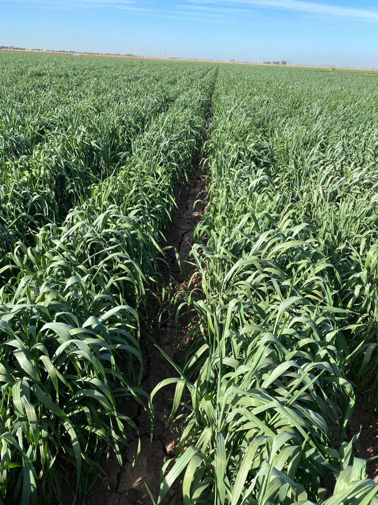 Velu Govindan tweet media