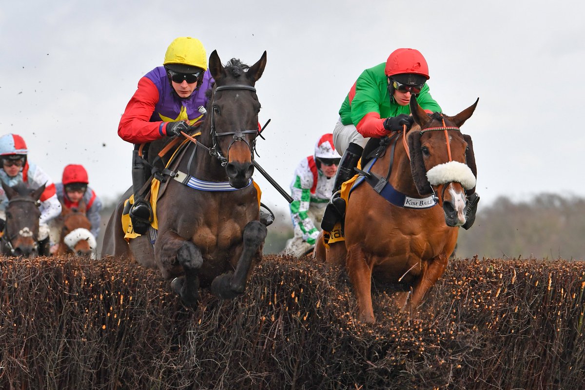 Ascot's tweet photo. Want to join us for our Betfair Ascot Chase Raceday...? 👀

WIN x2 QUEEN ANNE ENCLOSURE TICKETS 
📆 Saturday 18th February 

WHAT YOU HAVE TO DO: 
❤️ LIKE this tweet 
🔄 RT this tweet 
🐴 FOLLOW @ascot
 
ENDS 15/02/2023 at 23:59PM 
Open to UK residents 
ONLY 18+ https://t.co/3qCUfJcmmi