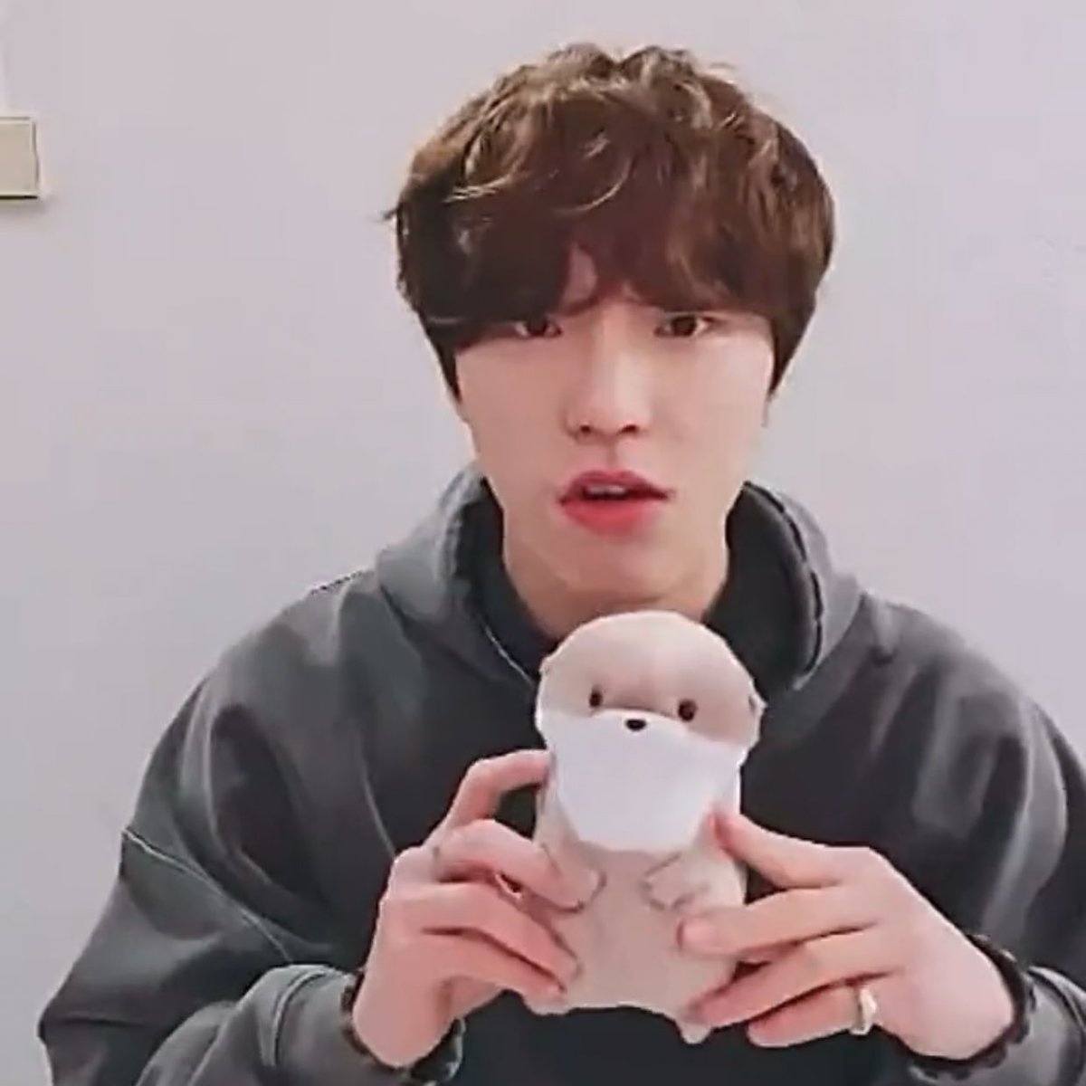 naty-on-twitter-rt-min9yu-tttop-jeonghan-gave-dino-an-otter-plushie