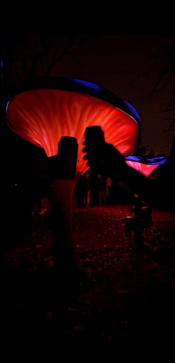 FernbankMuseum's tweet photo. Fernbank After Dark: It's Electric⚡ is ❌SOLD OUT❌ TONIGHT!  🍻🥂🍄✨
*
Disappointed? Catch our next Fernbank After Dark on 3/10!
For more info, visit https://t.co/bFc4t3wvnb
*
#AfterDark #AdultsOnly #museum #atlanta #atlscoop #science #atlevents #scienceatl #fernbankmuseum https://t.co/IKsKpUTTuI