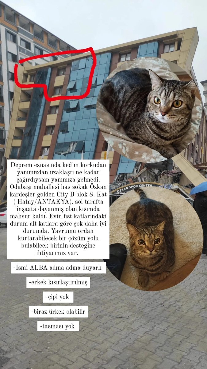 Demirok's tweet photo. @masum_gozler https://t.co/rG5ePoC0Jp