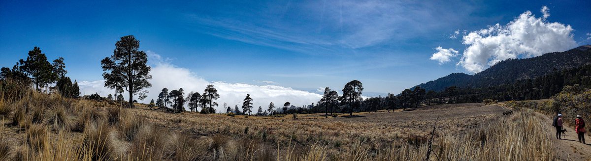 Vista desde Parque Nacional Pico de Orizaba
#picodeorizaba #parquenacional #parquenacionalpicodeorizaba #conociendomexico #FotoDelDia #fotografos_mexico #photography