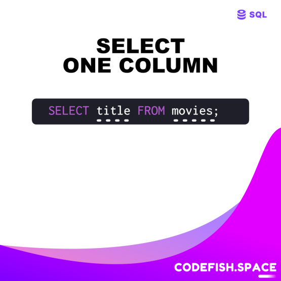 codefish's tweet image. Select one column in SQL
▶ See example: codefish.space/article/10
