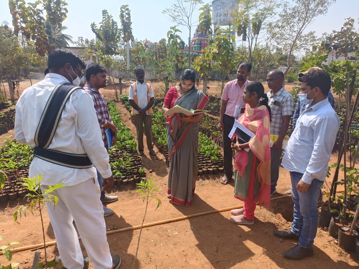 mpdo_dornakal's tweet photo. Respected Additional Collector(LB) Madam visited Banjara &amp; Ammapalam nuseries in Dornakal Mandal
@Collector_MBD ,@AclbMahabubabad https://t.co/jdc4cOcbI0