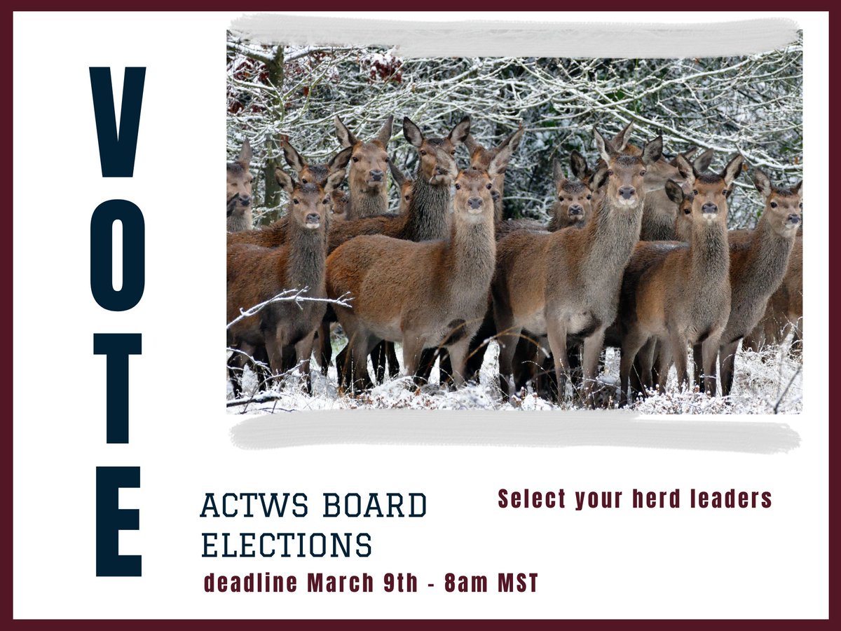 AB Wildlife Society tweet media