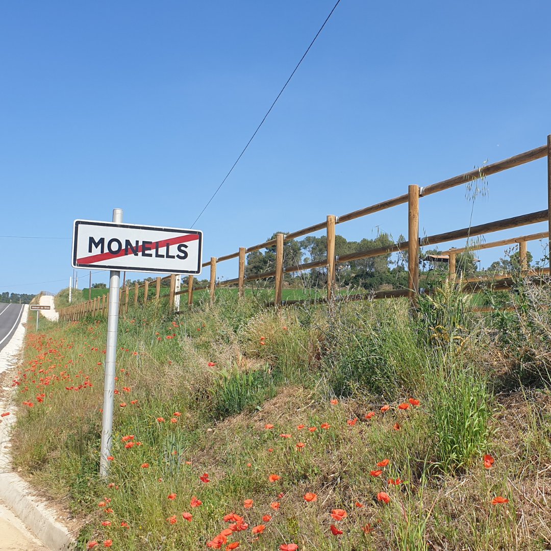 santaularia_cat's tweet photo. Tanca texana 🤠 de pals rodons molt decorativa, i amb un toc rústic, instal·lada per Santaulària Equipaments Urbans. Fabricada en fusta de pi tractada a l'autoclau, actua com a barrera de protecció en el carril bici de Monells i Madremanyà. https://t.co/me5FZieFAk
