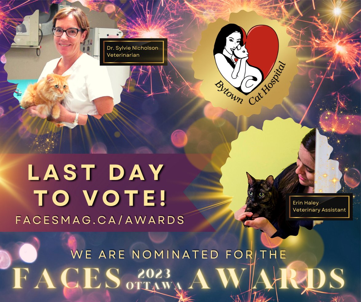 TheCatHospitals's tweet photo. LAST DAY TO VOTE! You can vote for #BytownCatHospital, Dr. Sylvie Nicholson &amp; #veterinary assistant Erin Haley for the 2023 #FACESOttawaAwards until 11:30 pm! Cast your last-minute vote to help us win! CLICK TO VOTE> https://t.co/9BpWCN7g0J
#facesawards #ottawa #CatsOfTwitter https://t.co/vkDotlN3uc