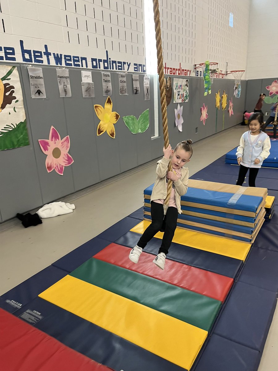 LaspinaCoach's tweet image. Our students at FECC are loving the Safari obstacle course this year!! #FECC #physed @HWPSBulldogs