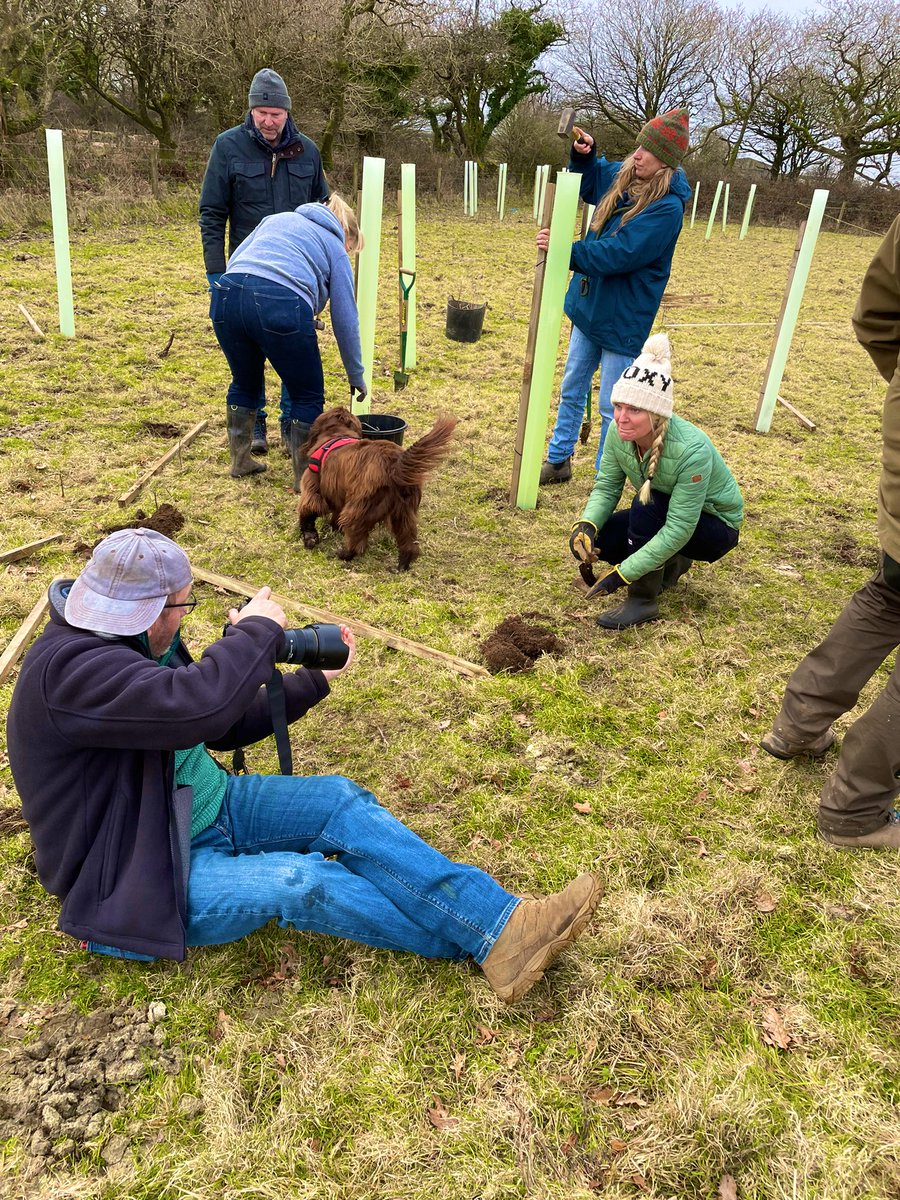 tevicornwall's tweet photo. #treeplanting at Cabilla Cornwall with @wildanet @CwallWildlife @CornwallCouncil @madebyleap @MerlinHanbury this afternoon as part of the #1000yrproject 

Happy Friday 
#environmentalgrowth
#plantingforthefuture https://t.co/uWo1sa2zbf