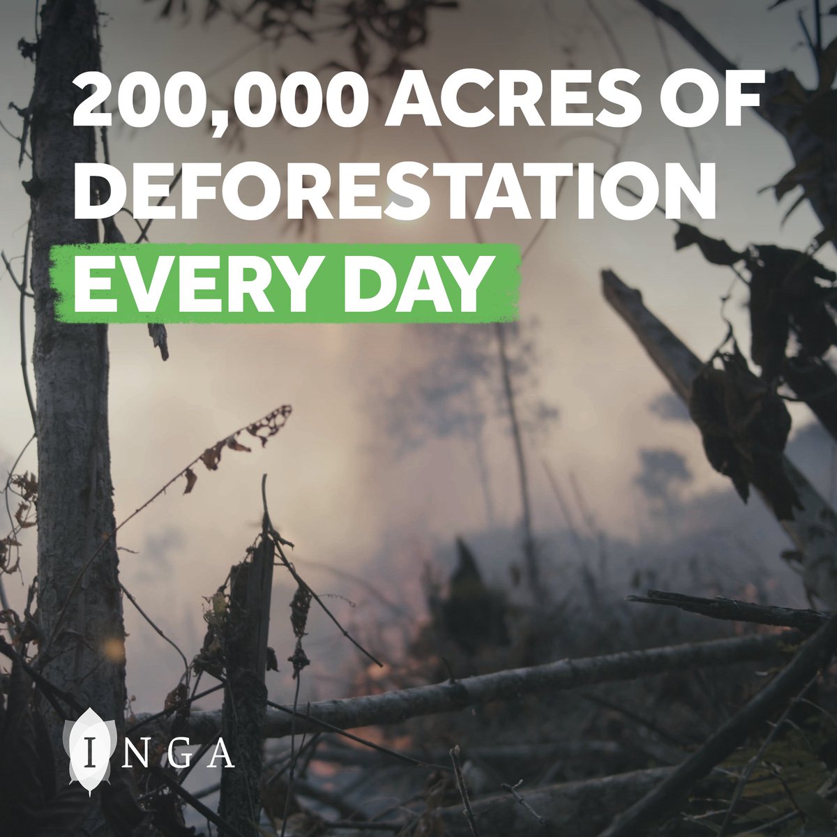 Slash and burn agriculture is a destructive practice that not only contributes to #ClimateChange, but also threatens the economic sustainability of communities.

It's time to end this devastating practice and embrace #regenerative alternatives.