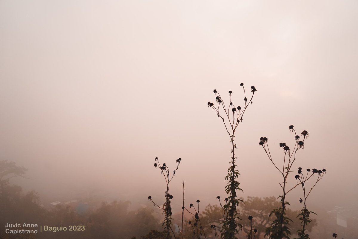 jhack_blue's tweet image. My first was a blast! 🥹 Take me back please. 

#BaguioCity