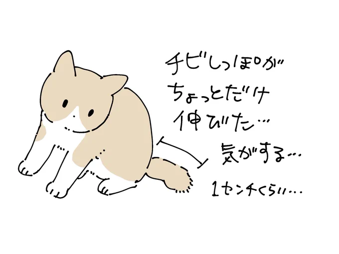 深夜なのでささやかすぎる報告をしても許されるというわけです 