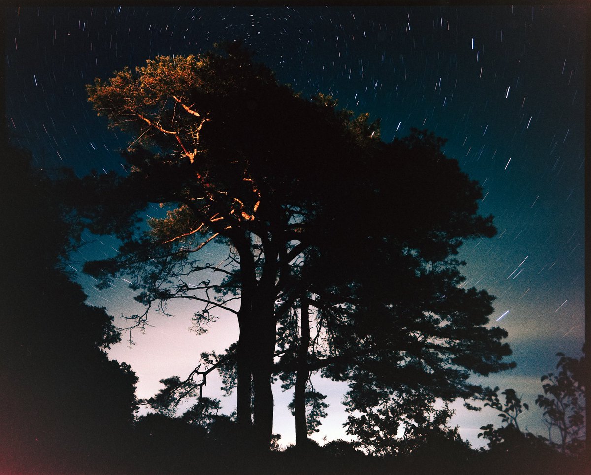 lakhlani_shanil's tweet image. The film 🤝 The photos