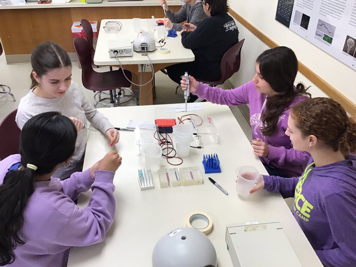 It’s a beautiful day for some DNA! 🧬 #APBio #mineolaproud <a href="/mineolahs/">Mineola High School</a> <a href="/DNALC/">DNA Learning Center</a>
