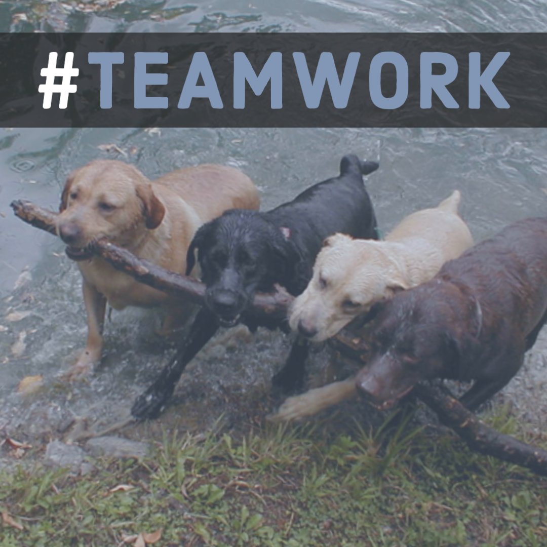 johncramer's tweet image. Excited about my accountability group with 
@MakeYourShowCo

My goal is to complete a half hour sitcom idea I've got called Mall Walkers

Can't wait to see what we can do together!

#MakeYourShow #creativitygoals #teamwork