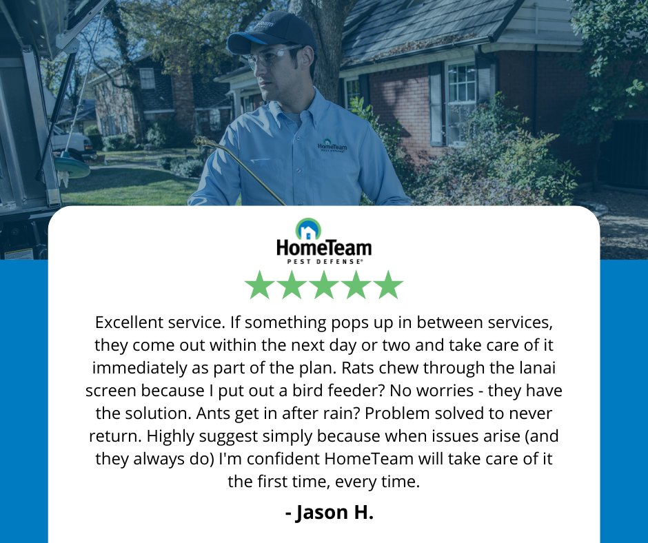 HomeTeamPestDefense tweet media