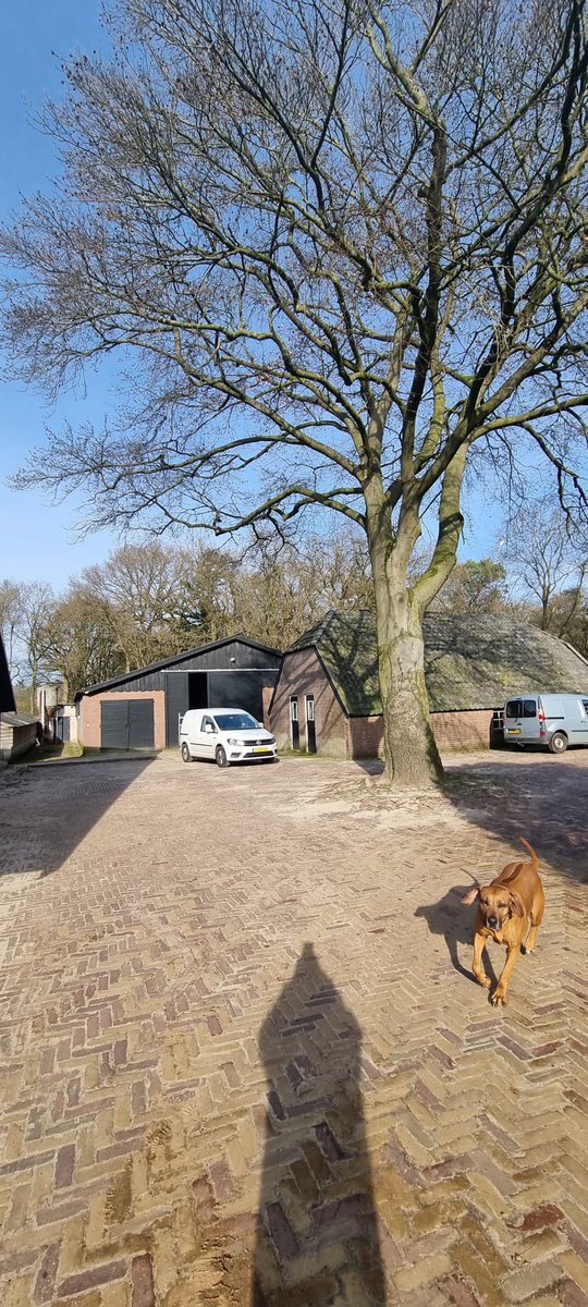 Vanmiddag op stap geweest met <a href="/CDAede/">CDA Ede</a> en <a href="/CDAGelderland/">CDA Gelderland</a> en verschillende plekken bezocht en mensen ontmoet die de leefbaarheid in de gemeente bevorderen. Veel initiatieven die zo in ons plan #VoorHeelNederland passen!