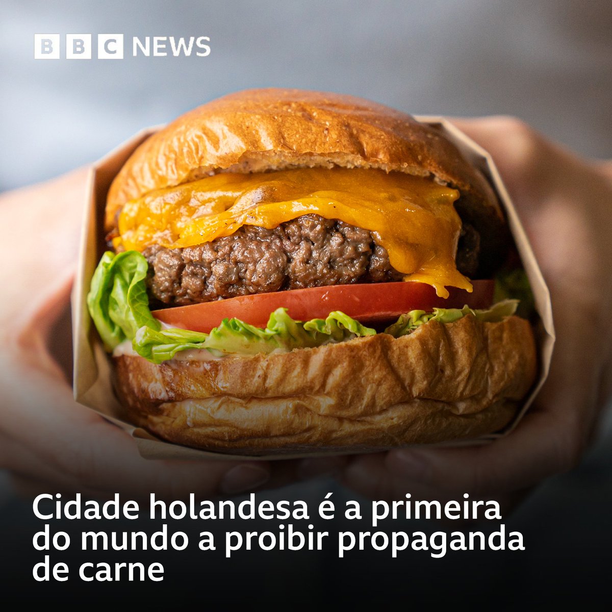 #ArquivoBBC "A carne é muito prejudicial ao meio ambiente. Não podemos dizer às pessoas que há uma crise climática e incentivá-las a comprar produtos que fazem parte dela", disse Ziggy Klazes, vereadora de Haarlem que redigiu a proposta
⁠
Leia mais: bbc.in/3ln3y2L