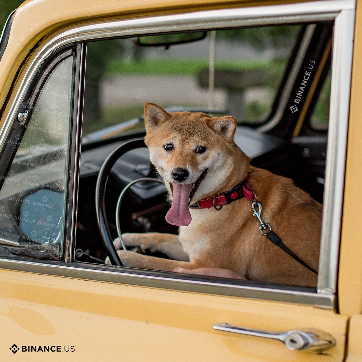 Binance.US 🇺🇸 tweet media