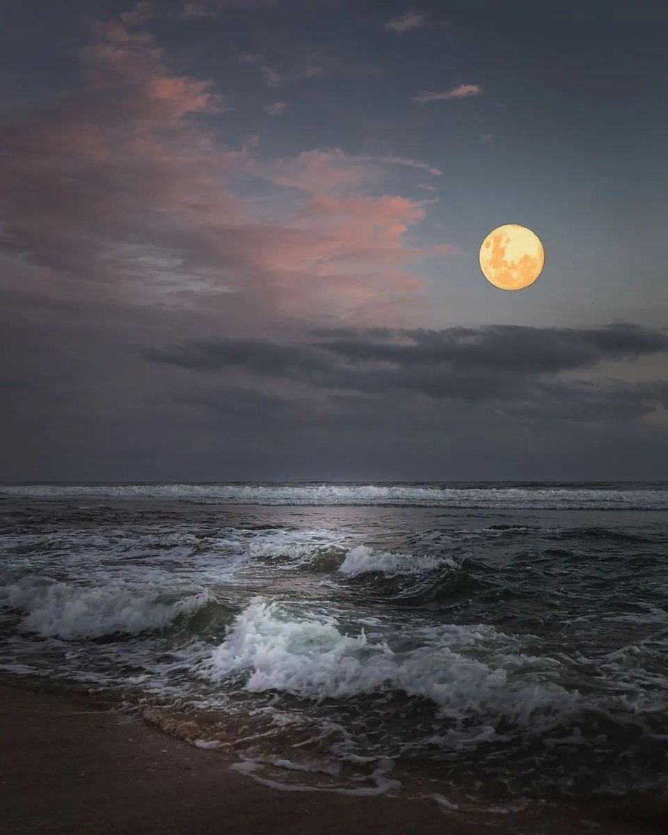 MOON LOVER (@thegood_moon) on Twitter photo 