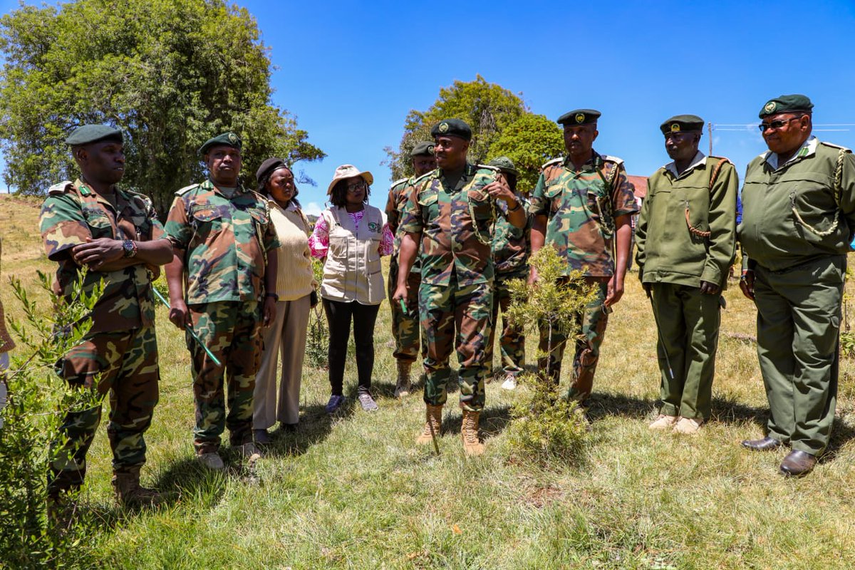 Kenya Forest Service on Twitter "The addendum adds another 50 Ha to