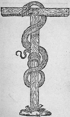 AmurakaHidden's tweet photo. Messiah = Snake https://t.co/oJqkAuUmck