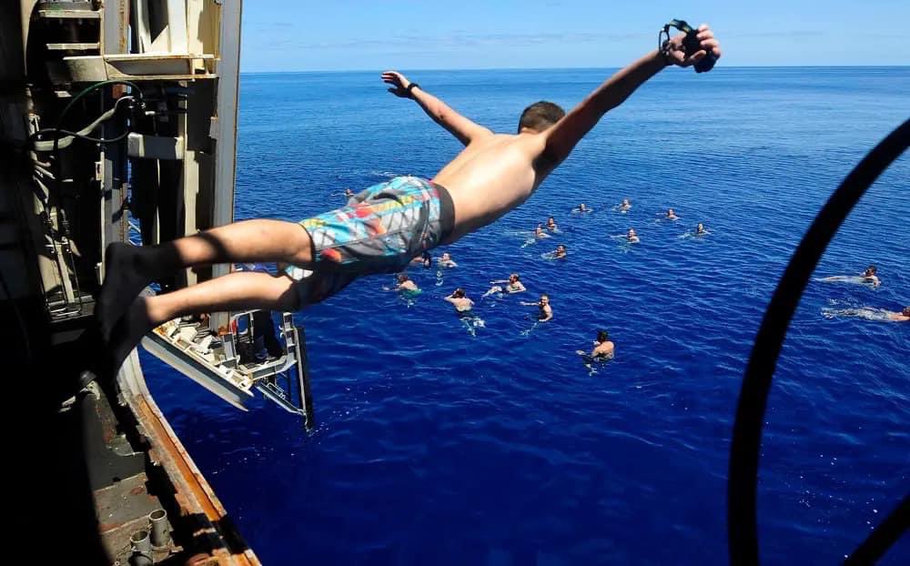 AustinBill13's tweet photo. Mayport: Jumping into Friday
Everyone else: *crickets*🦗🦗
#USN #SwimCall https://t.co/OucaB81TcP