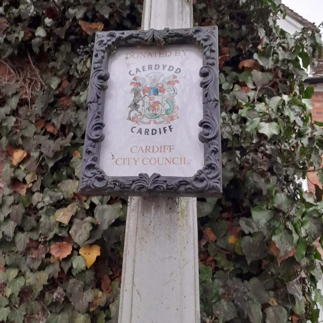 Sarah Merry tweet media