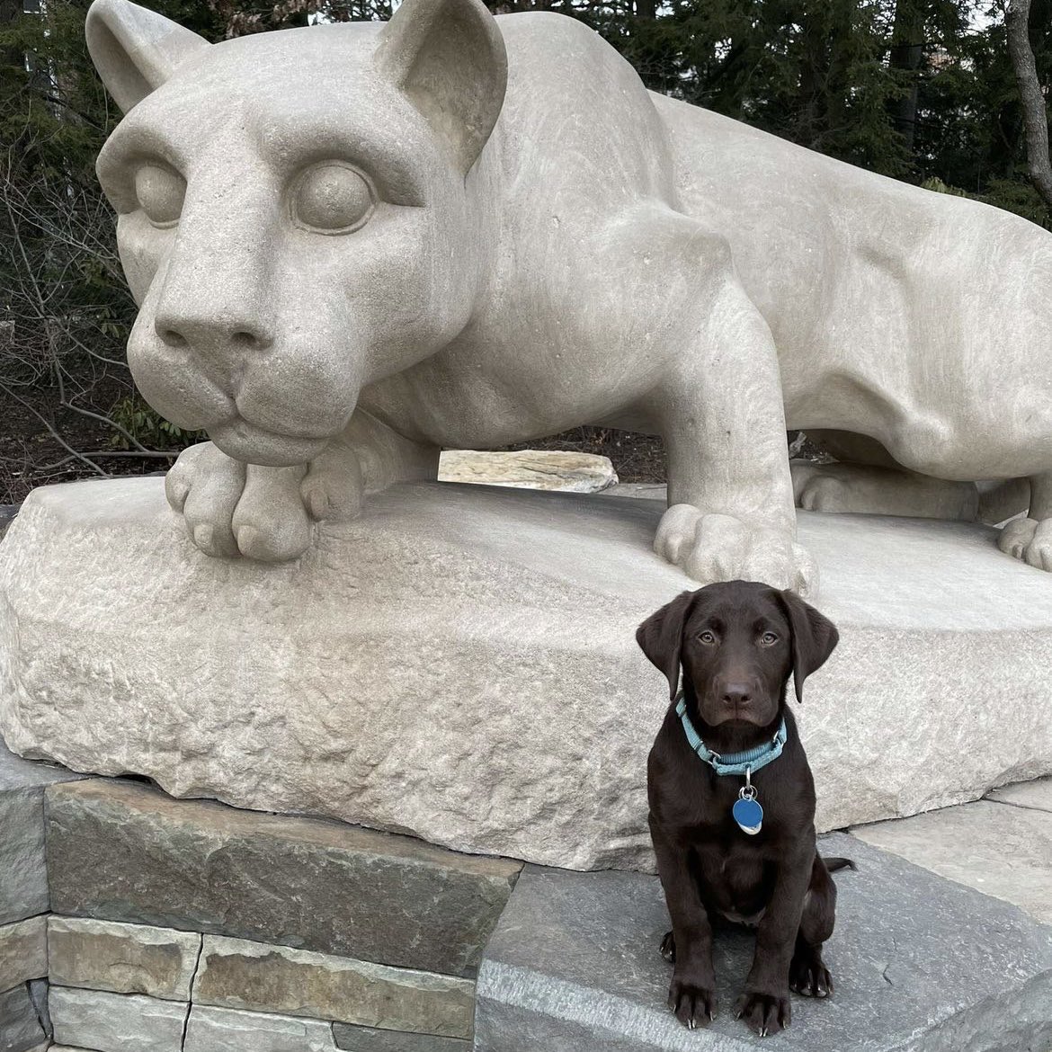 PSUBarstool's tweet image. Happy #GoodBoyFriday Penn State!