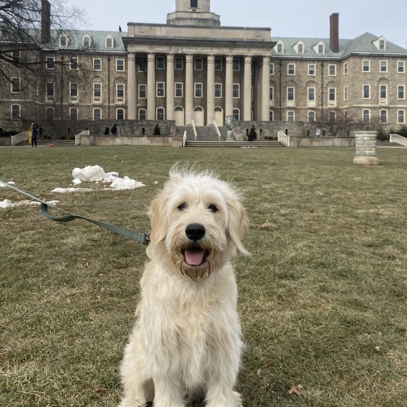 PSUBarstool's tweet image. Happy #GoodBoyFriday Penn State!