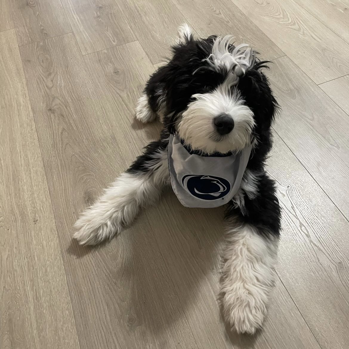 PSUBarstool's tweet image. Happy #GoodBoyFriday Penn State!
