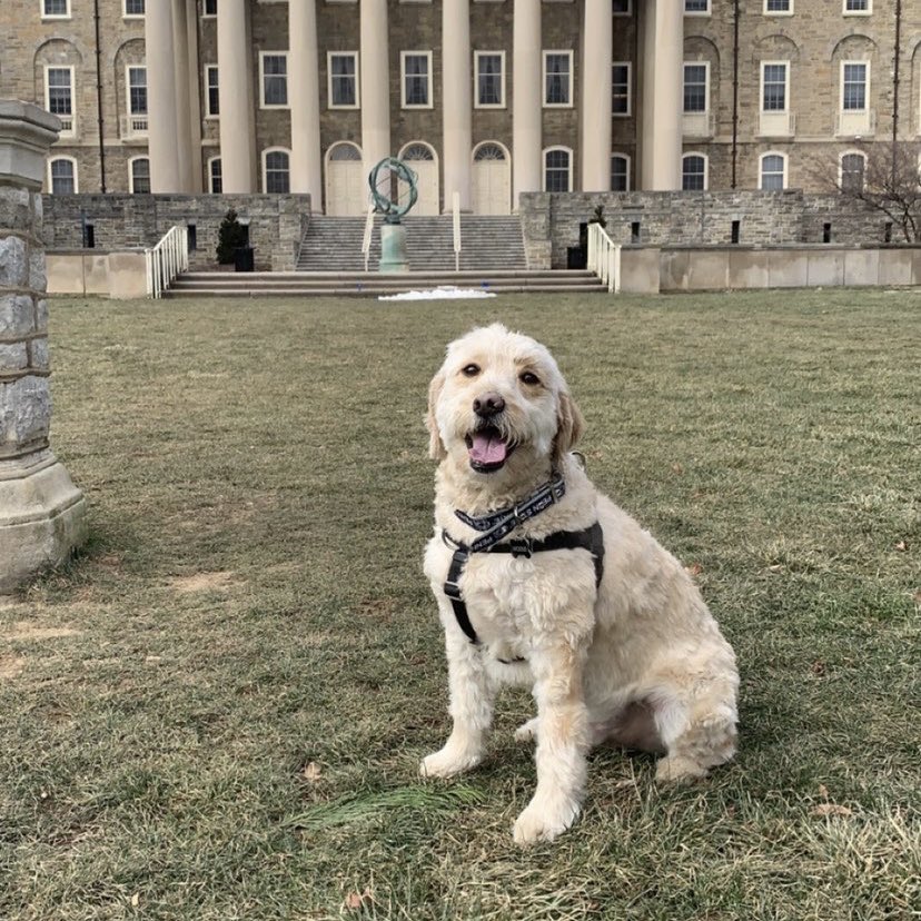 PSUBarstool's tweet image. Happy #GoodBoyFriday Penn State!