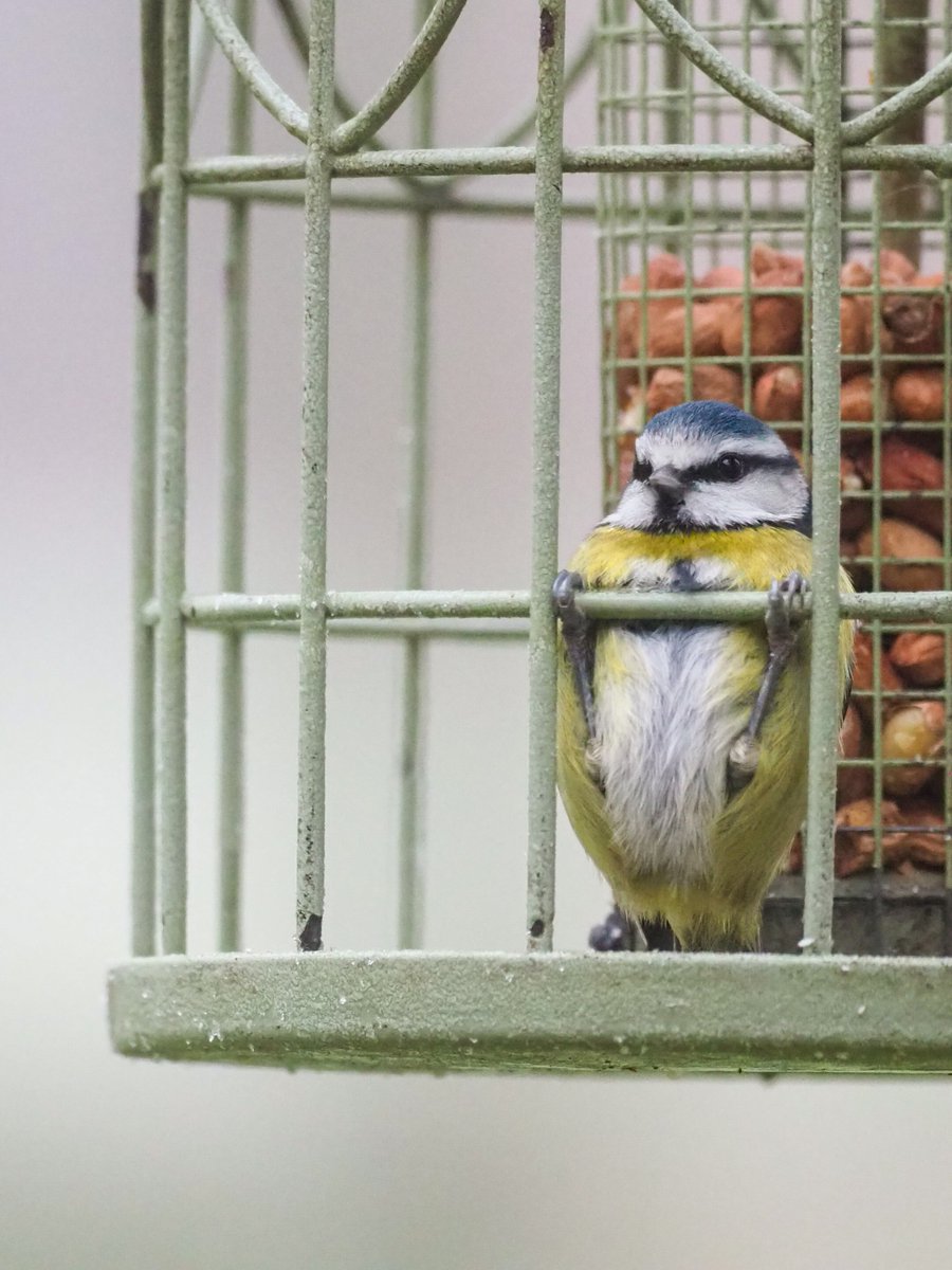 Essex Wildlife Trust tweet media