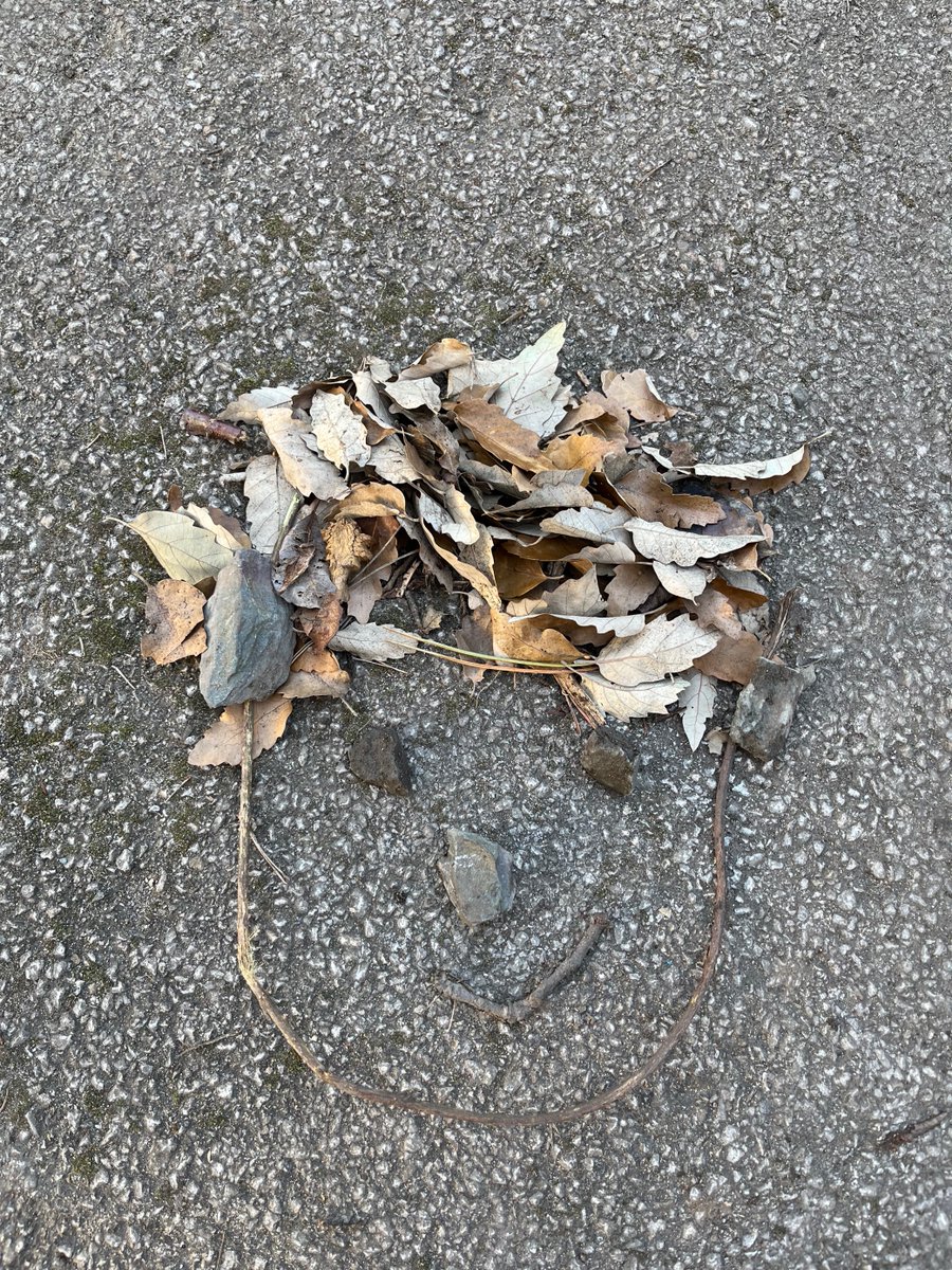 LboroGrammar's tweet image. The school has recognised Children’s Mental Health Week with the Taskmaster challenge this week. Years 6 to 8 had lots of fun undertaking a range of tasks including: Make the best rainbow, make a self-portrait, and finally making  a hat out of recycling!

#CMHWTasking #Creative