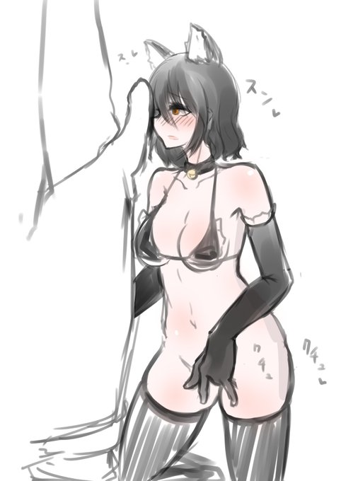 にゃーさん…… 