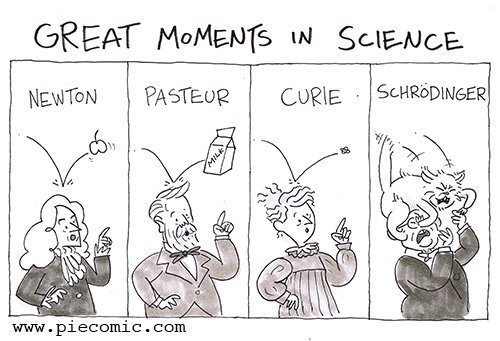 Durham_BSI's tweet photo. Hopefully if you made any scientific breakthroughs today it wasn't because something fell on your head, #ECR! We'll be back with you next Friday, but in the meantime enjoy this bit of #SciHumour from from #piecomic https://t.co/sPCDXfg3gS