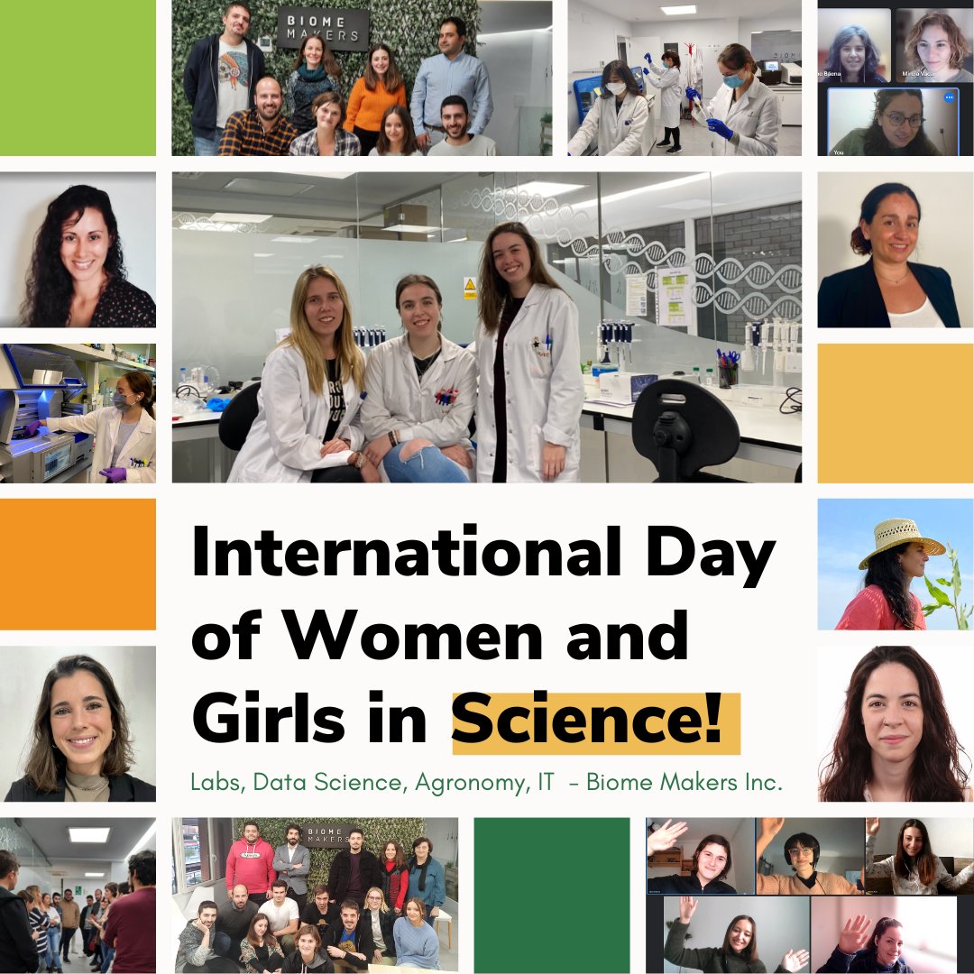 Biome Makers tweet media