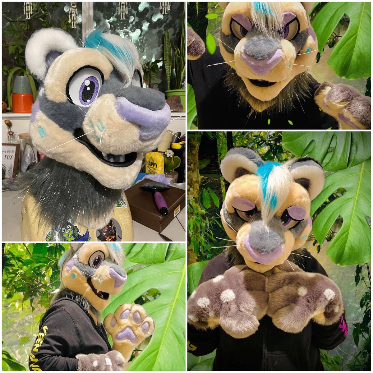 MagicMagey's tweet photo. 🐆 Happy #FursuitFriday!! 💙 🐆

I have this collab suit that me and my friend @Cannibal_ish worked on together up for s/a/l/e!! 

We are looking at 💲 offers for this suit!!

Comes with head, handpaws, tail, and 3 sets of eyelids!!

🔁 Shares are super appreciated!! 🔁 https://t.co/XjIHnIcDWz